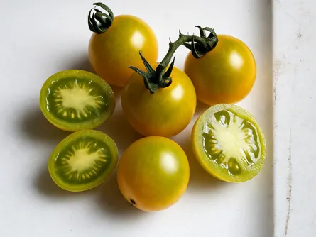 Pomodoro Datterino Mango