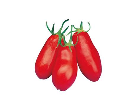 Il pomodoro San Marzano