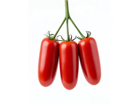 Il pomodoro San Marzano