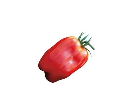 Il pomodoro scatolone