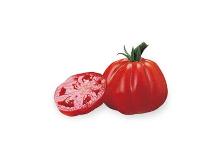 pomodoro cuore di bue innestato 