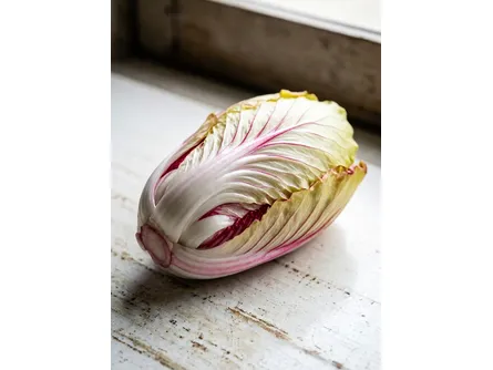 Radicchio Castelfranco Tardivo