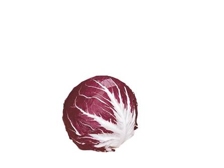 Il radicchio di Chioggia medio precoce 