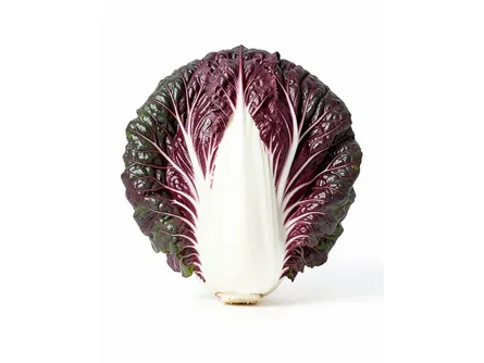 Il radicchio di Chioggia medio precoce 