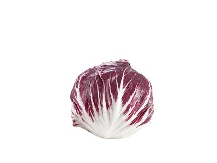 Il radicchio di Chioggia tardivo