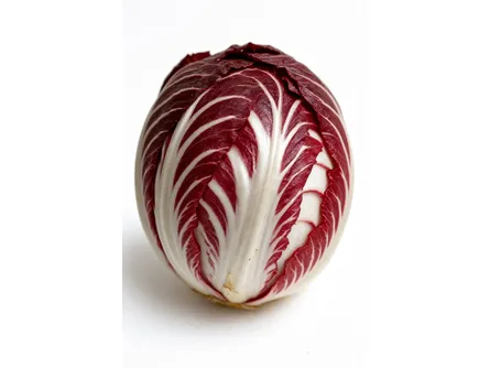 Il radicchio di Chioggia tardivo