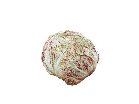 Il radicchio Lusia