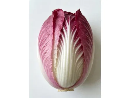 Il radicchio rosa mantovano