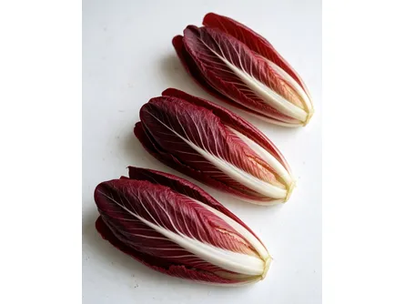 Il radicchio di Treviso tardivo 