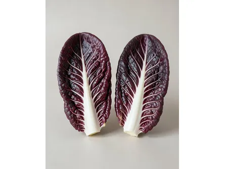 Il radicchio Verona tardivo 