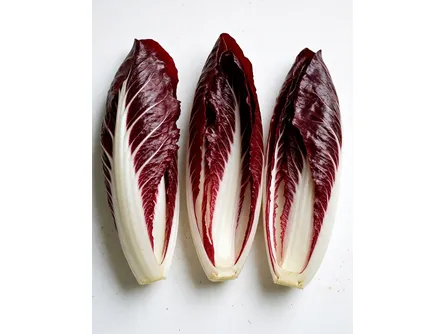 Il radicchio di Verona 