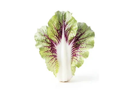 Radicchio Castelfranco Tardivo