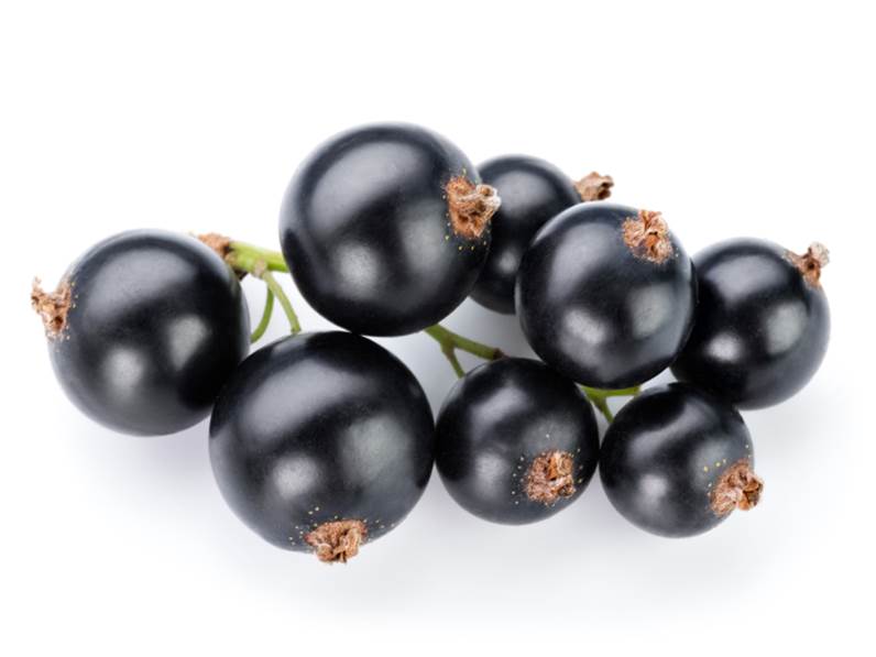 La varietà Nera