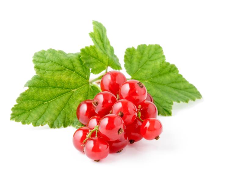La varietà Rossa