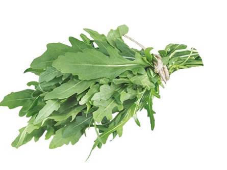 Rucola