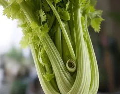 Caratteristiche del sedano dorato 
