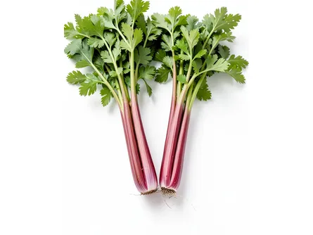 Il sedano rosso