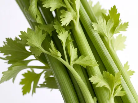Il sedano verde 