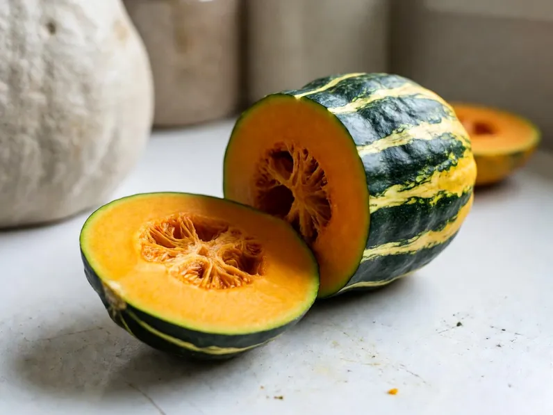 Coltivazione della zucca delica