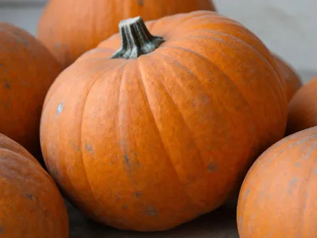 La zucca halloween