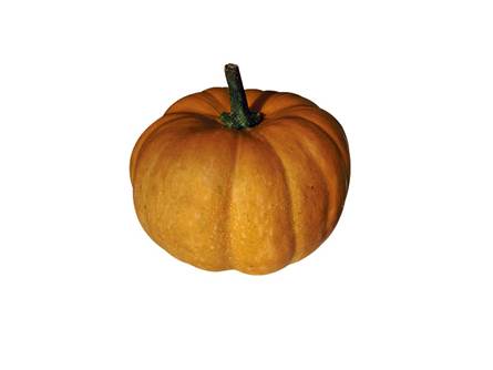 La zucca Dolcissima 