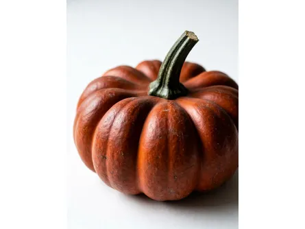 La zucca Dolcissima 