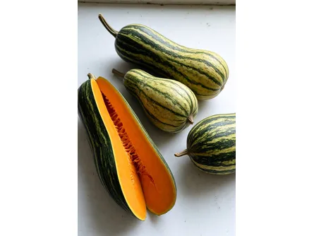 La zucca lunga di Napoli 