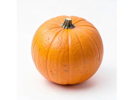 La zucca quintale