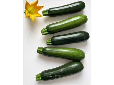 Zucchino afrodite