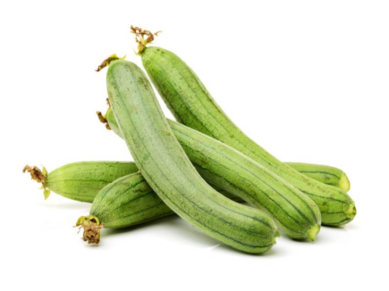 Coltivazione dello zucchino alberello di Sarzana