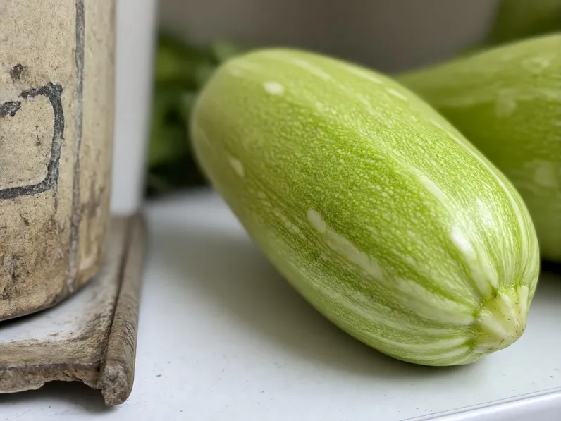 Coltivazione dello zucchino chiaro