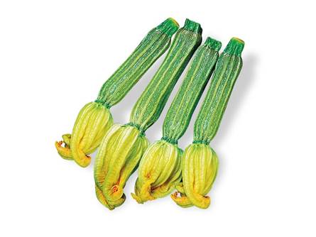 Lo zucchino striato