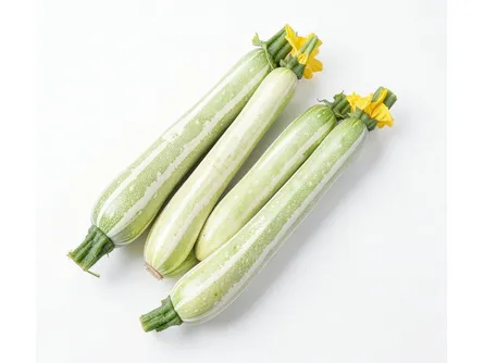 Lo zucchino striato