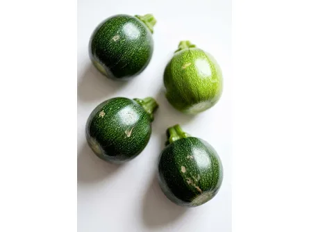 Lo zucchino tondo 