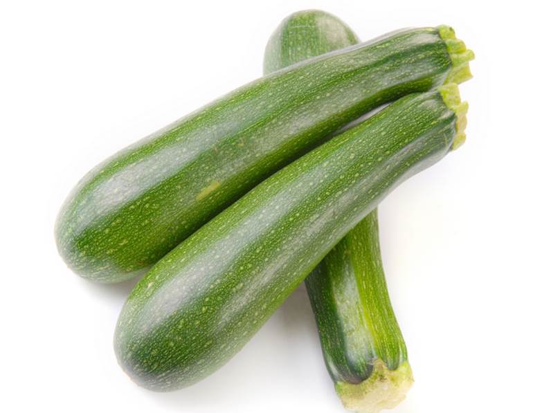 Coltivazione dello zucchino